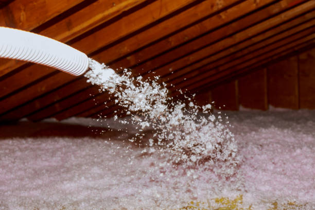 Best Geographic-Specific Insulation Services in Mantua, UT