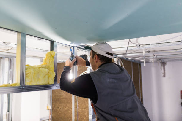 Best Residential Insulation in Mantua, UT